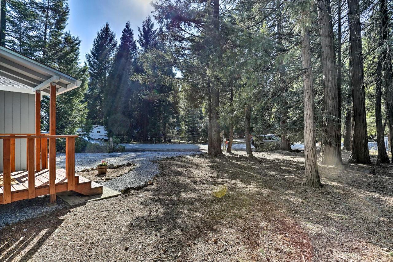 Base Camp Lassen Home 13 Mi To Volcanic Natl Park Shingletown Luaran gambar