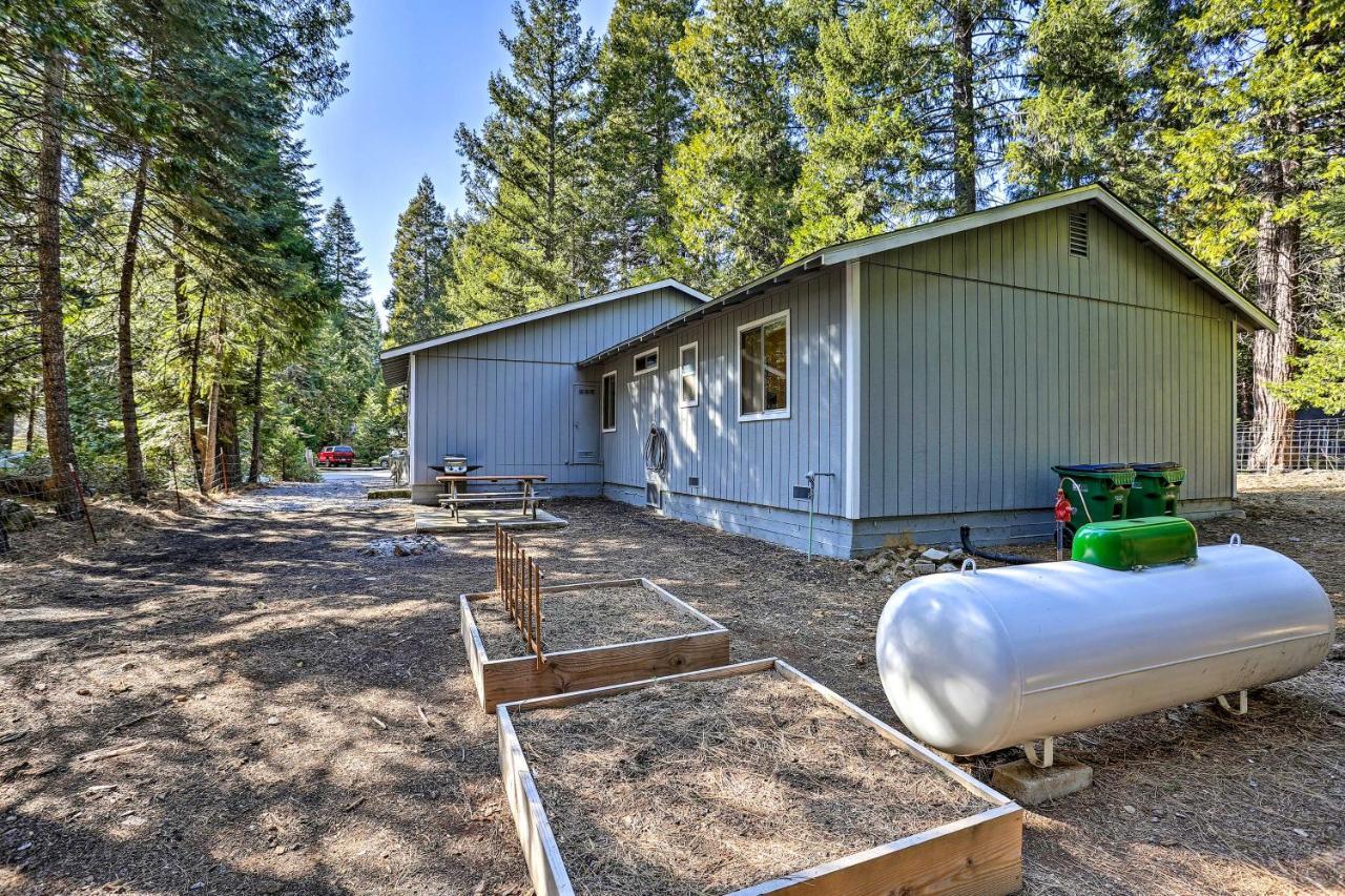 Base Camp Lassen Home 13 Mi To Volcanic Natl Park Shingletown Luaran gambar